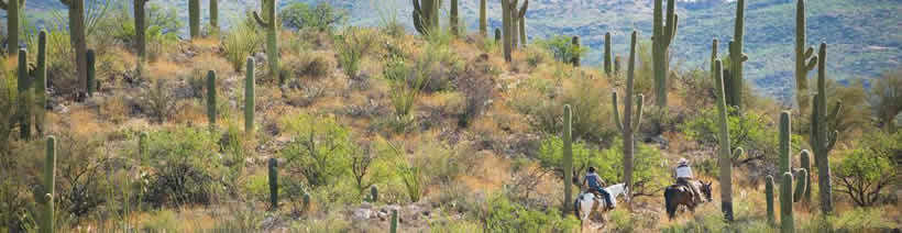 Come Visit Tucson Arizona
